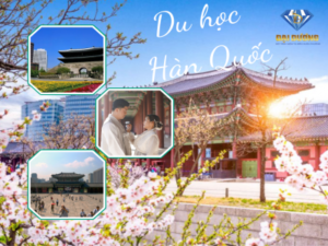 nhân lực quốc tế đại dương